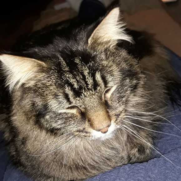 Welcome to my closet! - Picture 3 of 6